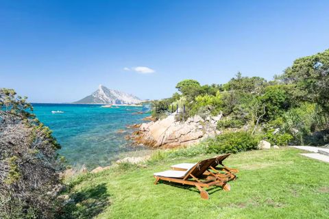 Villa i San Teodoro, Sassari, San Teodoro - € 3.000.000 | Ref: ST-073GP - foto 3