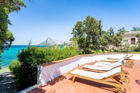 Villa i San Teodoro, Sassari, San Teodoro - € 3.000.000 | Ref: ST-073GP - foto 5