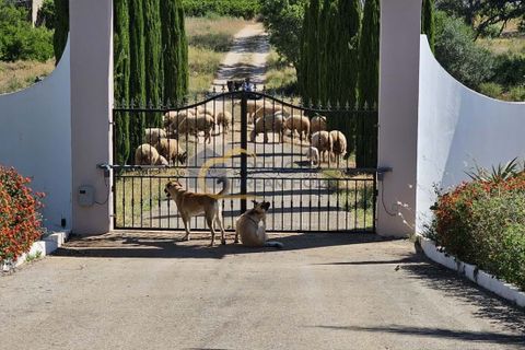 Villa a Silves, Faro, Silves - € 1.125.000 | Ref: FC125 - foto 7