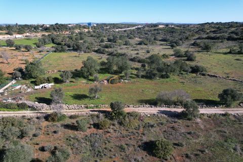Helårsgrund i Albufeira, Faro, Albufeira - € 89.000 | Ref: AF150 - foto 15