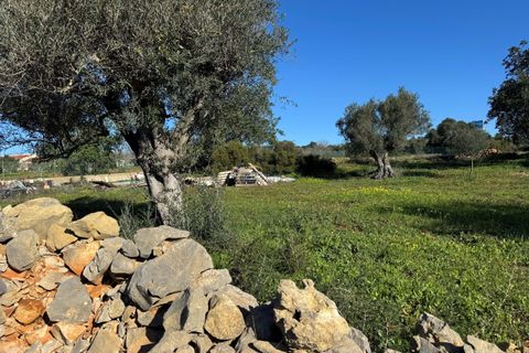 Helårsgrund i Albufeira, Faro, Albufeira - € 89.000 | Ref: AF150 - foto 16