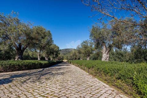 Villa i Olhao, Faro, Olhao - € 2.950.000 | Ref: HOME2320V - foto 39