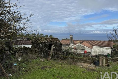 Byhus i Lajes do Pico, Pico, Lajes do Pico - € 135.000 | Ref: 134457 - foto 25