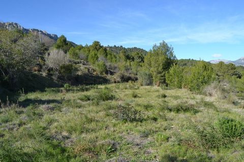 Terra a Guadalest, Alicante, Guadalest - € 55.000 | Ref: 6433 - foto 2