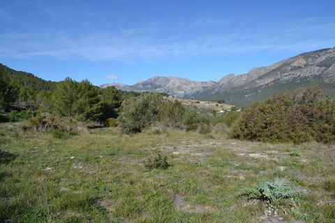 Terra a Guadalest, Alicante, Guadalest - € 55.000 | Ref: 6433 - foto 3