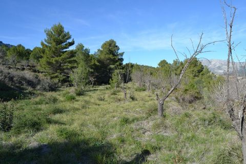 Terra a Guadalest, Alicante, Guadalest - € 55.000 | Ref: 6433 - foto 4