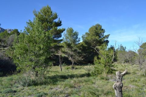 Terra a Guadalest, Alicante, Guadalest - € 55.000 | Ref: 6433 - foto 5