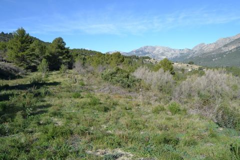 Terra a Guadalest, Alicante, Guadalest - € 55.000 | Ref: 6433 - foto 6