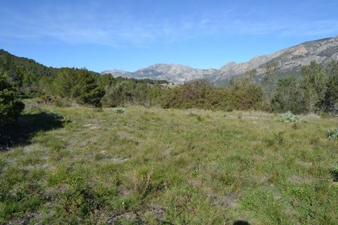 Terra a Guadalest, Alicante, Guadalest - € 55.000 | Ref: 6433 - foto 7