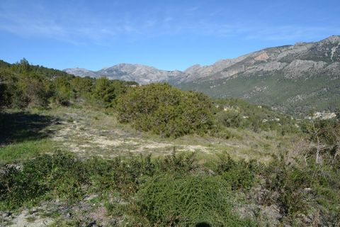 Terra a Guadalest, Alicante, Guadalest - € 55.000 | Ref: 6433 - foto 8