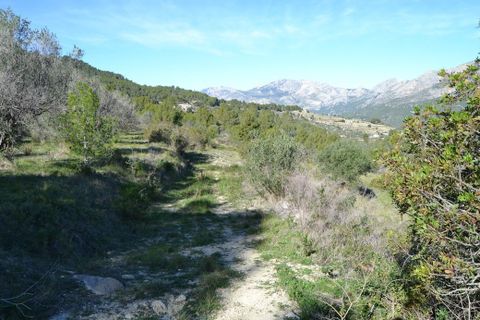 Terra a Guadalest, Alicante, Guadalest - € 55.000 | Ref: 6433 - foto 9