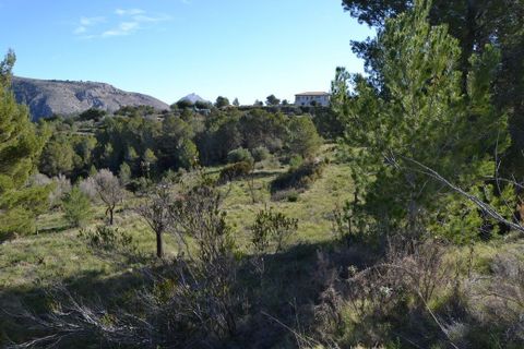 Terra a Guadalest, Alicante, Guadalest - € 55.000 | Ref: 6433 - foto 10