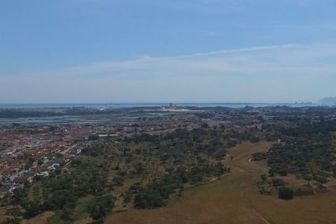 Herregård i Ermidas do Sado, Setubal, Ermidas do Sado - € 8 500 000 | Ref: HER15053.MVR - foto 2
