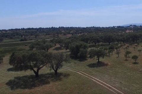 Herregård i Ermidas do Sado, Setubal, Ermidas do Sado - € 8 500 000 | Ref: HER15053.MVR - foto 7