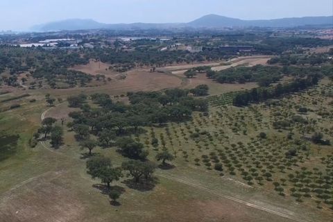 Herregård i Ermidas do Sado, Setubal, Ermidas do Sado - € 8 500 000 | Ref: HER15053.MVR - foto 9