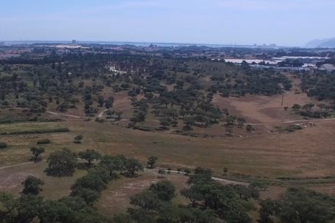 Herregård i Ermidas do Sado, Setubal, Ermidas do Sado - € 8 500 000 | Ref: HER15053.MVR - foto 12