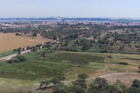 Herregård i Ermidas do Sado, Setubal, Ermidas do Sado - € 8 500 000 | Ref: HER15053.MVR - foto 16