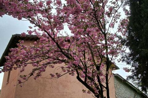 Leilighet i Visso, Macerata, Visso - € 28 000 | Ref: 1669 - foto 11