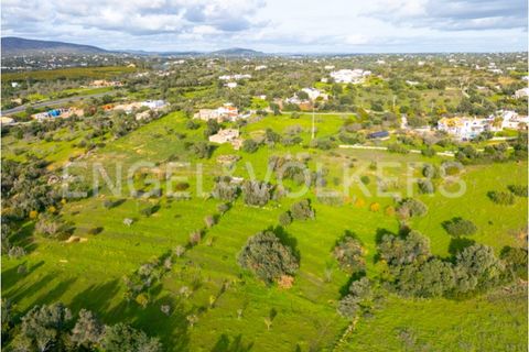 Villa i Quelfes, Faro, Quelfes - € 495.000 | Ref: W-02XWQI - foto 11