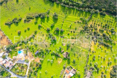Villa i Quelfes, Faro, Quelfes - € 495.000 | Ref: W-02XWQI - foto 15