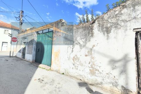 Villa a Pernes, Santarem, Pernes - € 200.000 | Ref: VIL_29 - foto 31