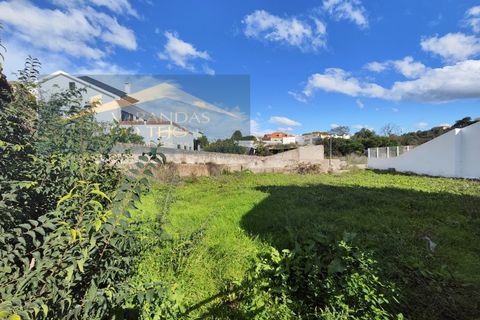 Villa a Pernes, Santarem, Pernes - € 200.000 | Ref: VIL_29 - foto 36