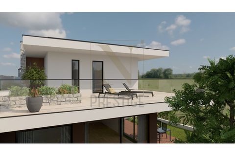 Terra a Assafarge e Antanhol, Coimbra, Assafarge e Antanhol - € 44.000 | Ref: NP3428 - foto 5