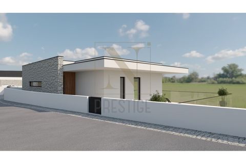 Terra a Assafarge e Antanhol, Coimbra, Assafarge e Antanhol - € 44.000 | Ref: NP3428 - foto 3