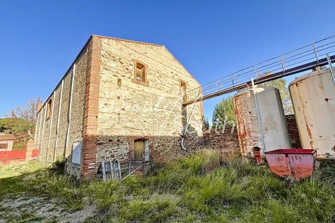 Landejendom i Bages, Pyrenees-Orientales, Bages - € 525.000 | Ref: CP326 - foto 5