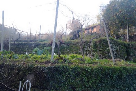 Terra a Cinfaes, Viseu, Cinfaes - € 35.000 | Ref: DH678 - foto 2