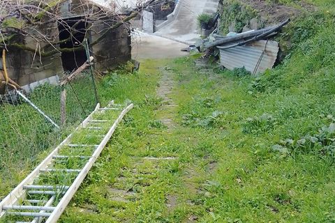 Terra a Cinfaes, Viseu, Cinfaes - € 35.000 | Ref: DH678 - foto 3