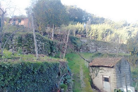 Terra a Cinfaes, Viseu, Cinfaes - € 35.000 | Ref: DH678 - foto 4