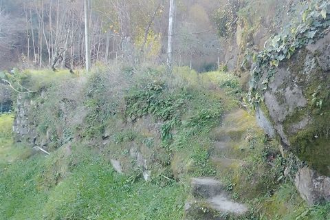Terra a Cinfaes, Viseu, Cinfaes - € 35.000 | Ref: DH678 - foto 5