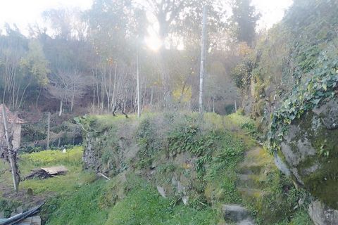 Terra a Cinfaes, Viseu, Cinfaes - € 35.000 | Ref: DH678 - foto 6