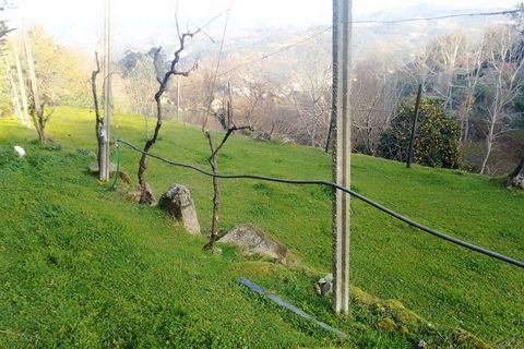 Terra a Cinfaes, Viseu, Cinfaes - € 35.000 | Ref: DH678 - foto 7