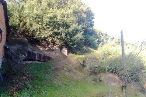 Terra a Cinfaes, Viseu, Cinfaes - € 35.000 | Ref: DH678 - foto 8