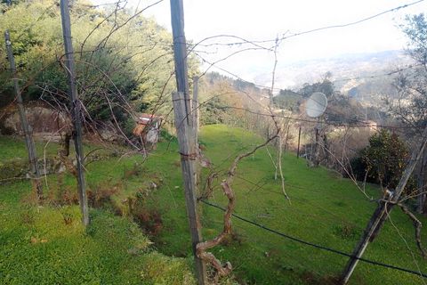 Terra a Cinfaes, Viseu, Cinfaes - € 35.000 | Ref: DH678 - foto 9