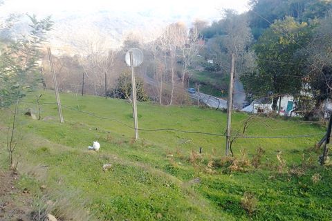 Terra a Cinfaes, Viseu, Cinfaes - € 35.000 | Ref: DH678 - foto 11