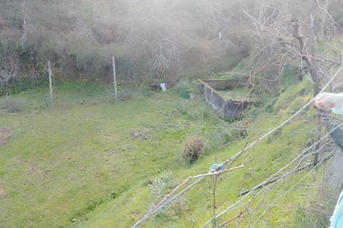 Terra a Cinfaes, Viseu, Cinfaes - € 35.000 | Ref: DH678 - foto 12