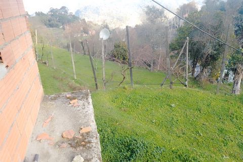 Terra a Cinfaes, Viseu, Cinfaes - € 35.000 | Ref: DH678 - foto 14