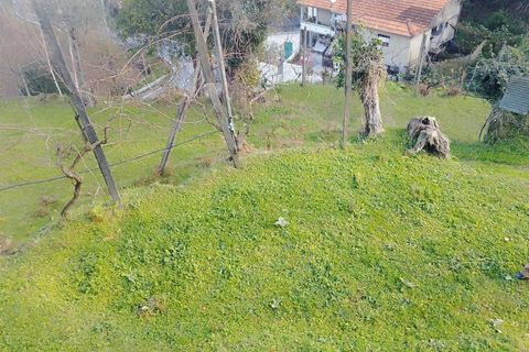 Terra a Cinfaes, Viseu, Cinfaes - € 35.000 | Ref: DH678 - foto 15