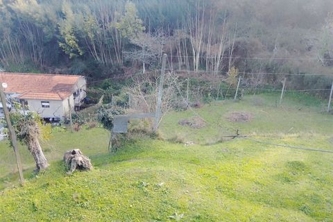 Terra a Cinfaes, Viseu, Cinfaes - € 35.000 | Ref: DH678 - foto 16