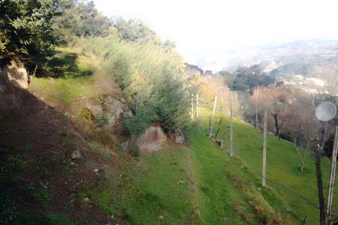Terra a Cinfaes, Viseu, Cinfaes - € 35.000 | Ref: DH678 - foto 17