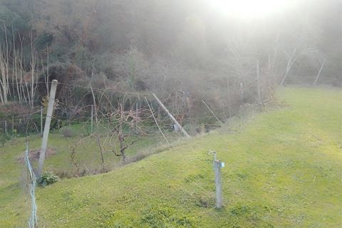 Terra a Cinfaes, Viseu, Cinfaes - € 35.000 | Ref: DH678 - foto 19