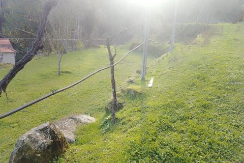 Terra a Cinfaes, Viseu, Cinfaes - € 35.000 | Ref: DH678 - foto 20