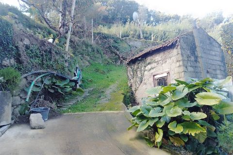 Terra a Cinfaes, Viseu, Cinfaes - € 35.000 | Ref: DH678 - foto 23
