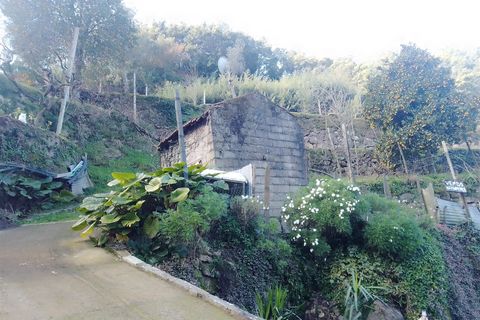 Terra a Cinfaes, Viseu, Cinfaes - € 35.000 | Ref: DH678 - foto 24
