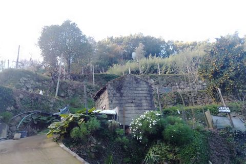 Terra a Cinfaes, Viseu, Cinfaes - € 35.000 | Ref: DH678 - foto 25
