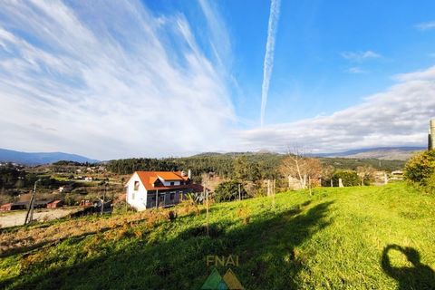 Terra a Azere, Viana do Castelo, Azere - € 78.000 | Ref: AVV-012-008 - foto 3