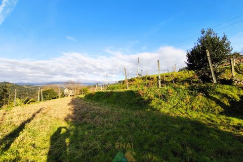 Terra a Azere, Viana do Castelo, Azere - € 78.000 | Ref: AVV-012-008 - foto 8
